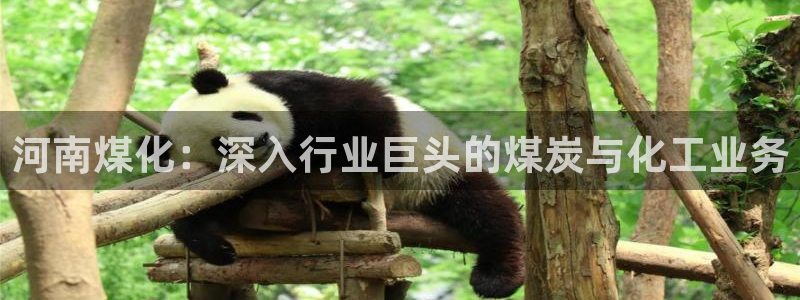 球盟会最新活动