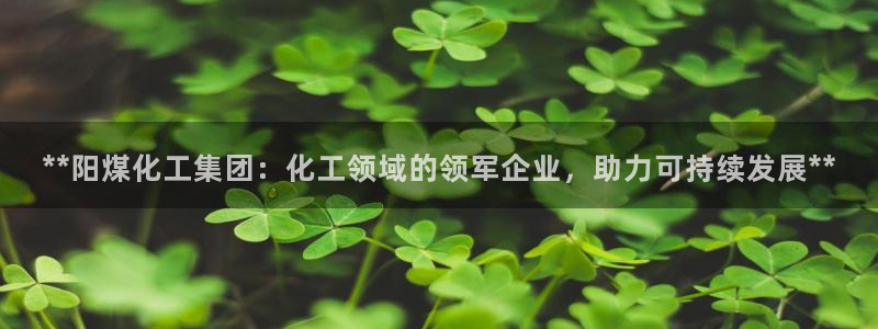 球盟会综合体育平台：**阳煤化工集团：化工领域的领军企业，助