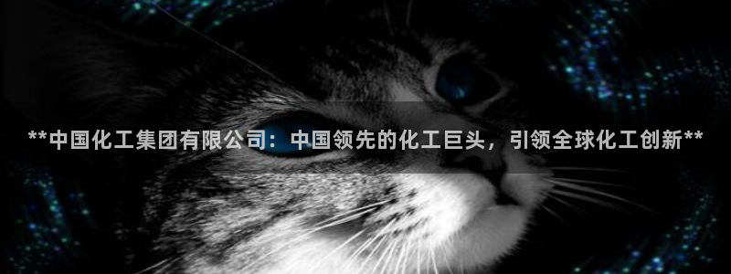 球盟会官方版下载地址：**中国化工集团有限公司：中国领先的化