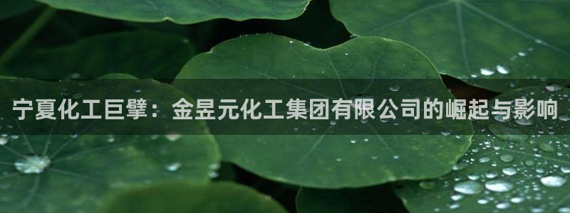 球盟会官方网站是什么：宁夏化工巨擘：金昱元化工集团有限公司的