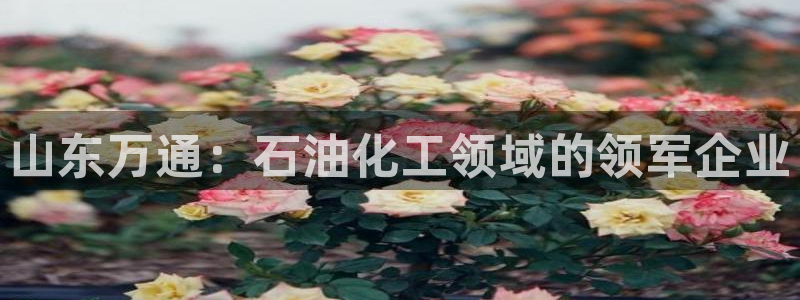 球盟会app最新地址在哪