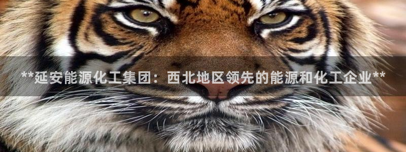 球盟会平台会黑单吗：**延安能源化工集团：西北地区领先的能源