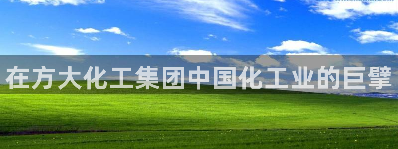 球盟会(中国)官方网站：在方大化工集团中国化工业的巨擘