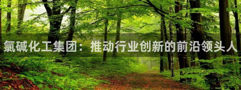 球盟会下款快吗
