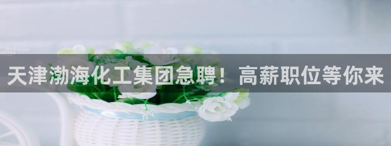千亿球盟会：天津渤海化工集团急聘！高薪职位等你来