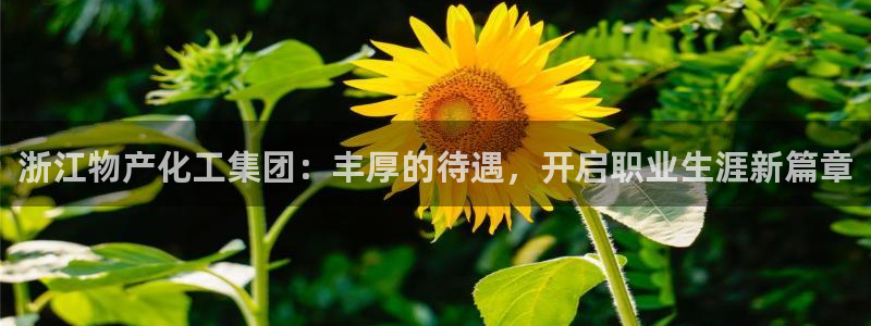 球盟会提款支付宝怎么样：浙江物产化工集团：丰厚的待遇，开启职