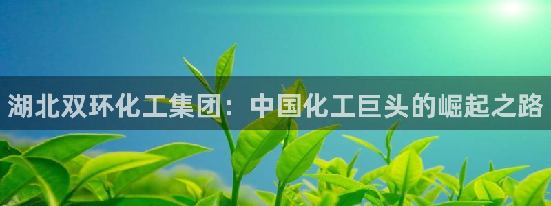 球盟会有没有黑单的人