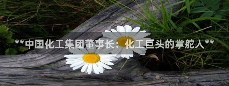 球盟会app