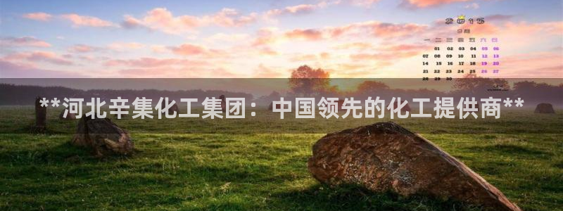 球盟会在线登录：**河北辛集化工集团：中国领先的化工提供商*