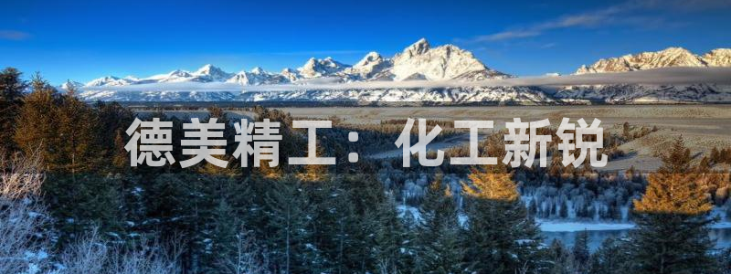 球盟会app：德美精工：化工新锐