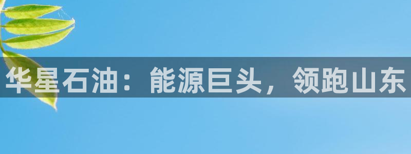 球盟会几点玩合适：华星石油：能源巨头，领跑山东