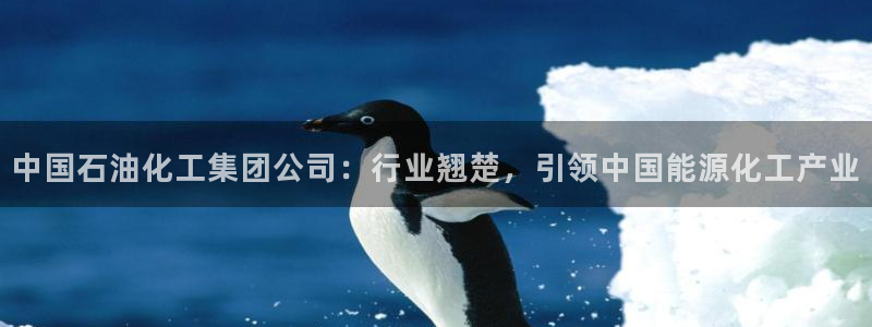 球盟会app最新地址在哪找：中国石油化工集团公司：行业翘楚，