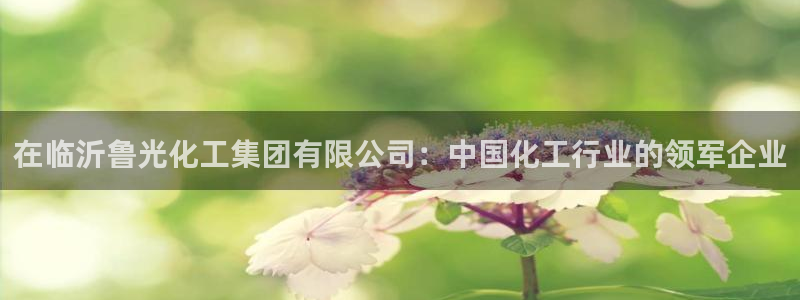 球盟会进不去：在临沂鲁光化工集团有限公司：中国化工行业的领军
