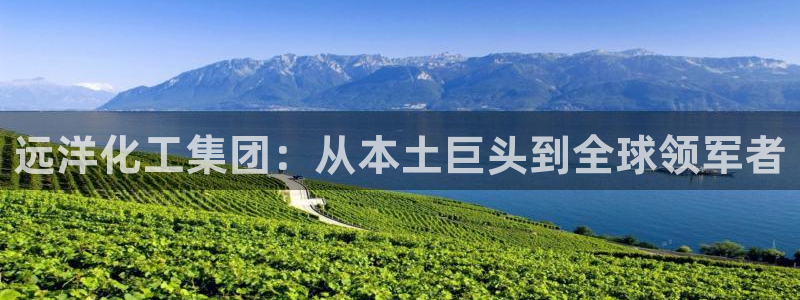 球盟会能退钱吗现在