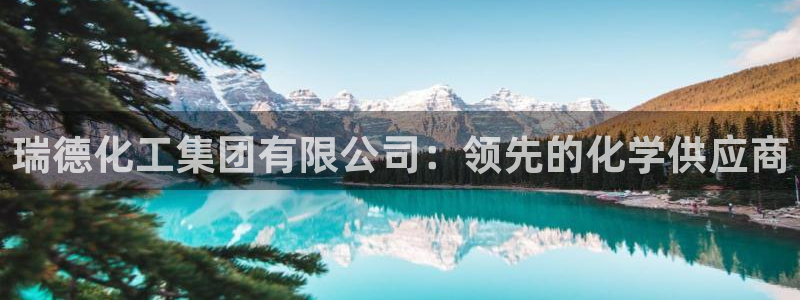 球盟会进不去：瑞德化工集团有限公司：领先的化学供应商