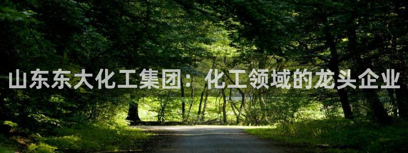 球盟会可以提现么