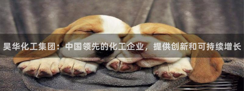 球盟会中国官方网站：昊华化工集团：中国领先的化工企业，提供创