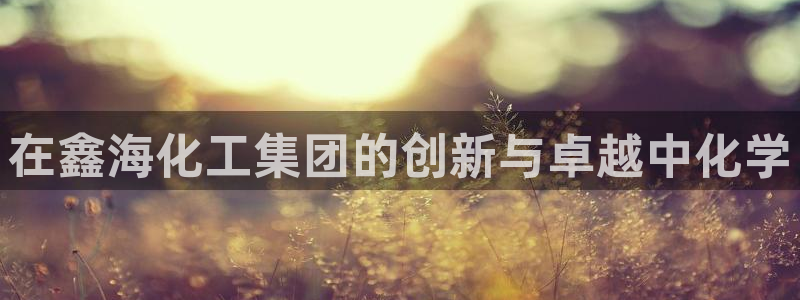 球盟会吧：在鑫海化工集团的创新与卓越中化学