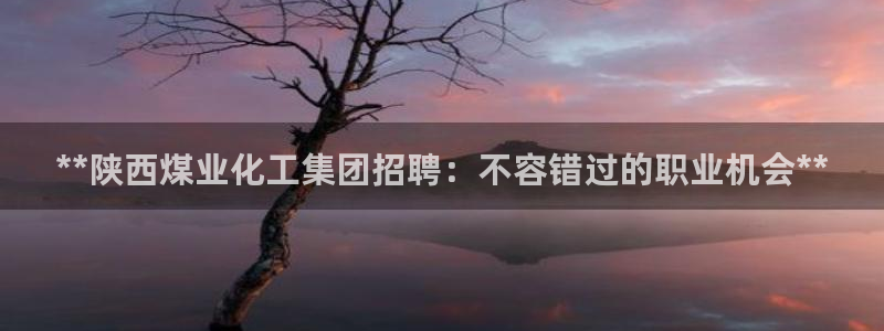 球盟会app最新地址在哪找：**陕西煤业化工集团招聘：不容错