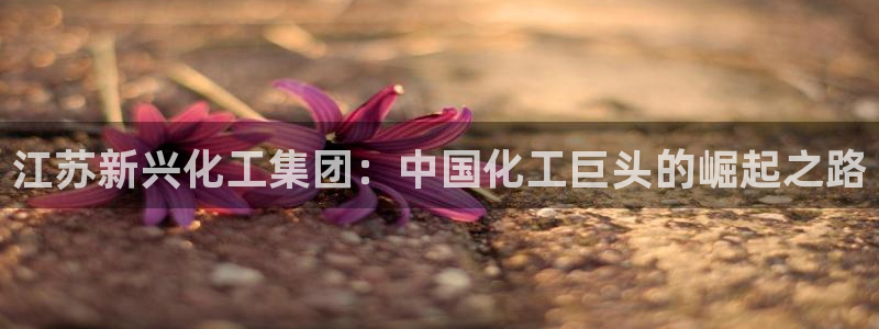 球盟会中国官方网站