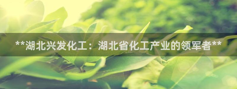 球盟会app