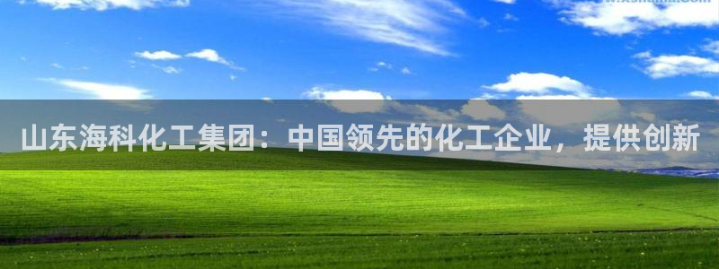 球盟会可靠不：山东海科化工集团：中国领先的化工企业，提供创新