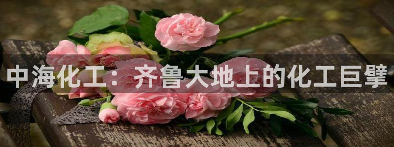 球盟会黑台子吗：中海化工：齐鲁大地上的化工巨擘