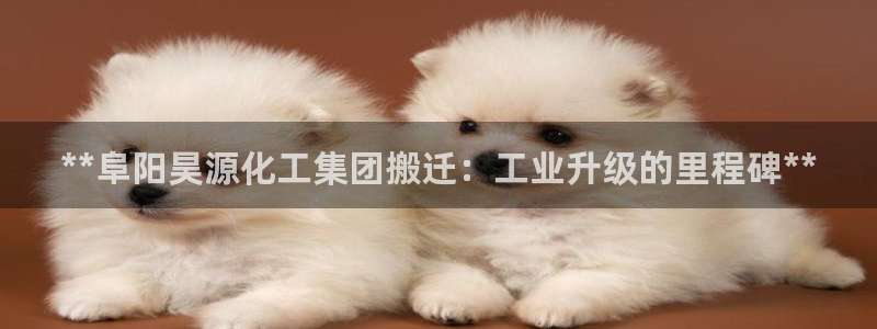 球盟会能退钱吗知乎：**阜阳昊源化工集团搬迁：工业升级的里程