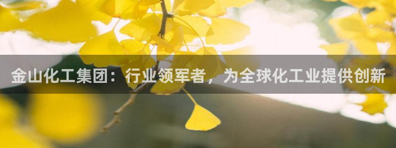 球盟会qm：金山化工集团：行业领军者，为全球化工业提供创新