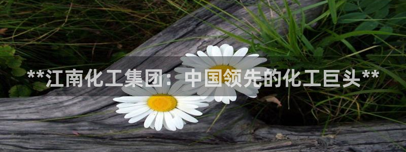 球盟会娱乐平台：**江南化工集团：中国领先的化工巨头**
