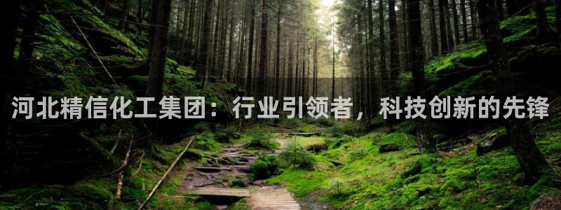 球盟会优惠券