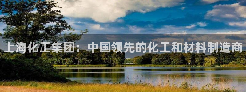 球盟会官方入口：上海化工集团：中国领先的化工和材料制造商