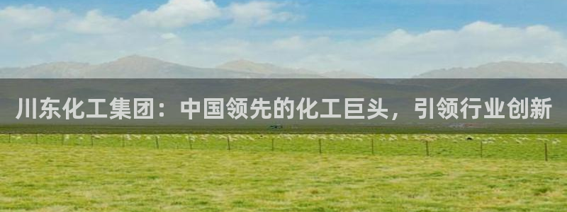 球盟会登录网址：川东化工集团：中国领先的化工巨头，引领行业创