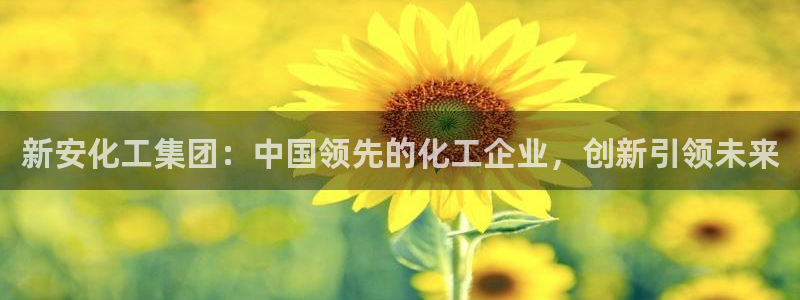 球盟会qm9：新安化工集团：中国领先的化工企业，创新引领未来