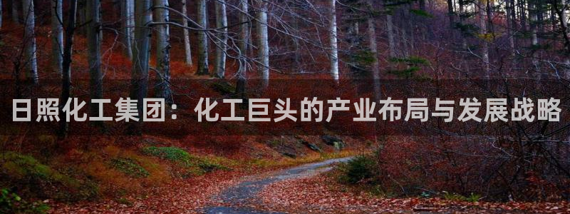球盟会最新