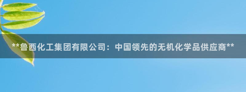 球盟会qm8597：**鲁西化工集团有限公司：中国领先的无机