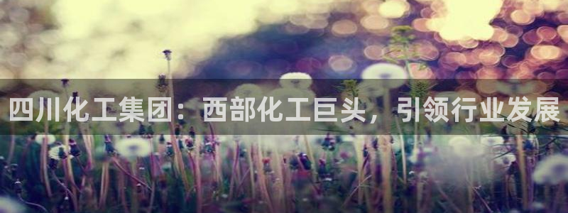 球盟会黑钱