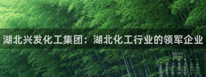 球盟会能退钱吗：湖北兴发化工集团：湖北化工行业的领军企业