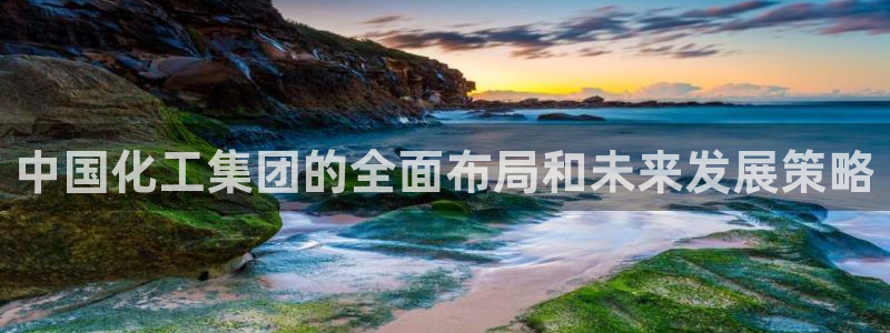球盟会app安装：中国化工集团的全面布局和未来发展策略