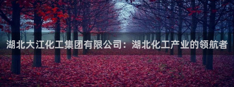 球盟会娱乐平台：湖北大江化工集团有限公司：湖北化工产业的领航