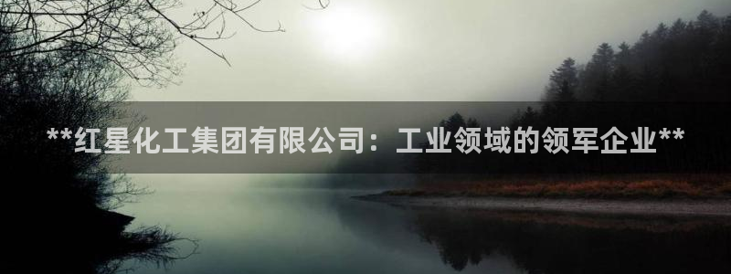 球盟会官方网站是什么：**红星化工集团有限公司：工业领域的领