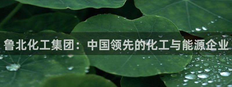 球盟会可以提现么现在：鲁北化工集团：中国领先的化工与能源企业