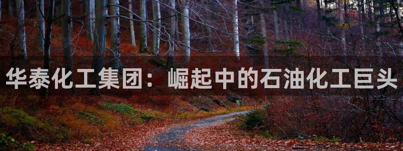 球盟会官方网站是什么