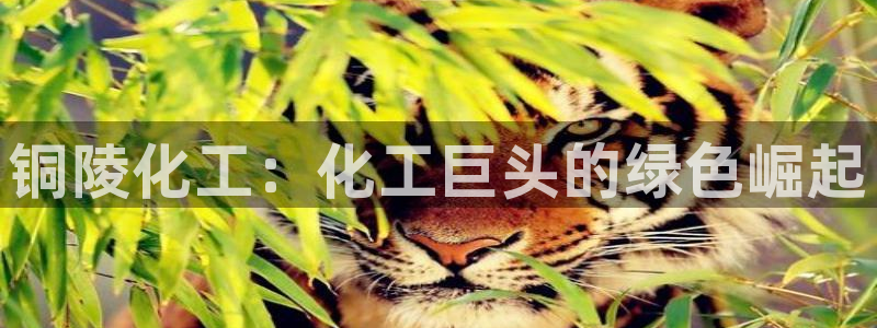 球盟会进不去球员吗：铜陵化工：化工巨头的绿色崛起