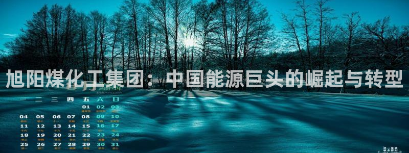 球盟会黑钱