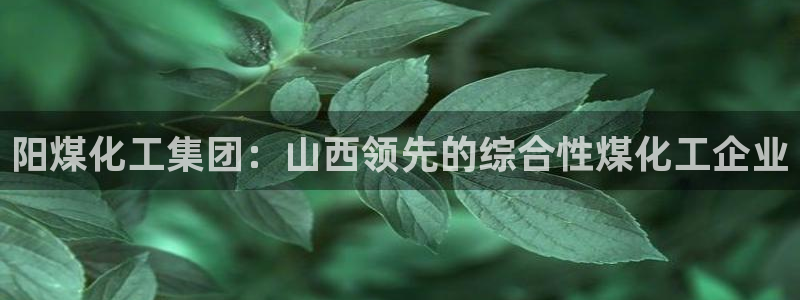球盟会app安装：阳煤化工集团：山西领先的综合性煤化工企业