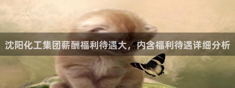 球盟会连接