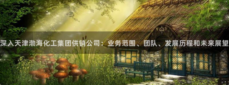 球盟会官方网站入口