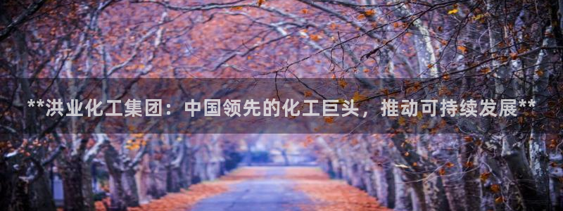 球盟会综合体育平台怎么样：**洪业化工集团：中国领先的化工巨
