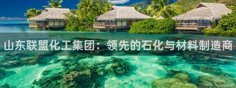 球盟会官网网页版
